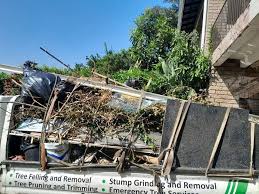 Best Dumpster Rental Services  in Pocahontas, AR